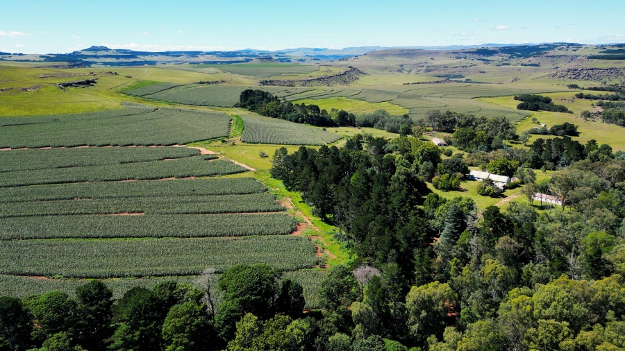 0 Bedroom Property for Sale in Maclear Rural Eastern Cape